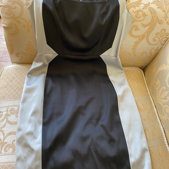 JAX DRESS - Picture 5 of 5